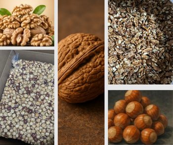 Сертифіковане виробництво з переробки волоського горіха та фундука