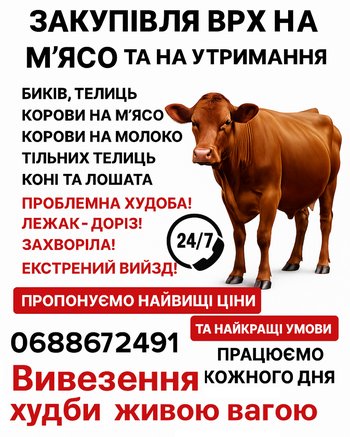 Закупівля ВРХ на м’ясо та на утримання