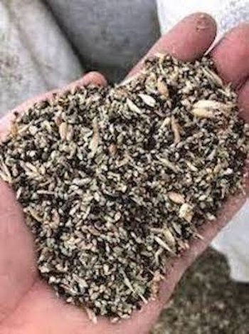 Купуємо зерновідходи, некондиційне зерно