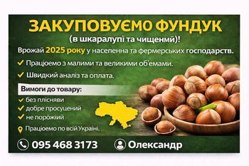 Закуповуємо фундук (в шкаралупі та чищений)