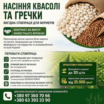 Посівмат квасолі та гречки з контрактом на викуп врожаю