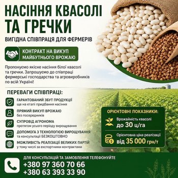 Реалізуємо насіння білої квасолі та гречки