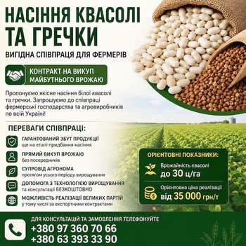 Насіння білої квасолі та гречки — продаж