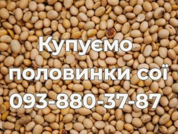 Купівля половинок сої на постійній основі