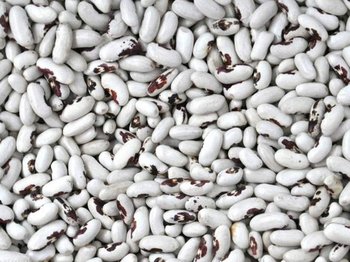 Продаж високоякісної квасолі з доставкою