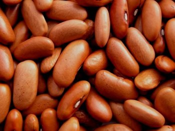 Квасоля, відбірні, перевірені сорти