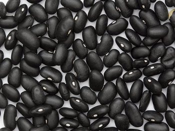 Квасоля оптом від виробника з доставкою