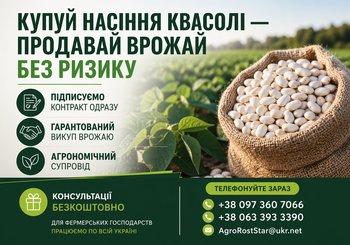 Насіння квасолі на продаж. Гарантія викупу врожаю