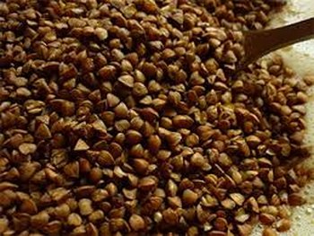 Насіння гречки. Очищене, каліброване, готове до посіву