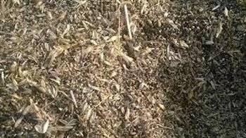 Купимо зерновідходи та некондиційне зерно. Самовивіз по Україні