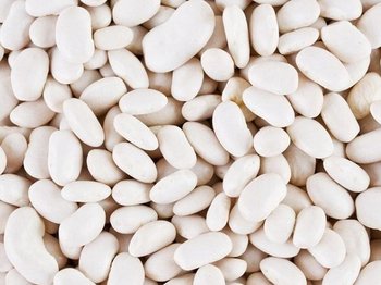 Продаж високоякісної квасолі відбірних сортів