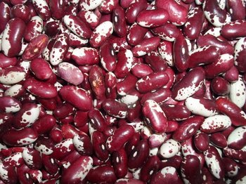 Квасоля в наявності. Продаж квасолі. Купити квасолю.