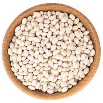 Куплю квасолю. Приймаємо квасолю для консервації