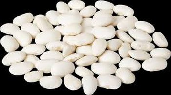 Закупівля квасолі для консервації та переробки