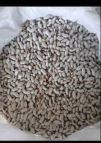 Закуповуємо квасолю по всій Україні із забезпеченням самовивозу.