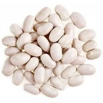 Закупка квасолі на переробку, консервування