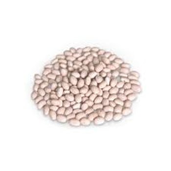 Насіння квасолі – Неві Бінс, Пінто, Ред Кідні, Червона Шапочка