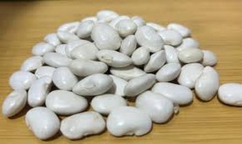 Закуповуємо квасолю великими партіями