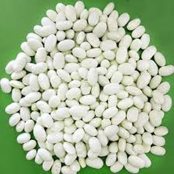 Насіння, посівмат квасолі сортів Неві Бінс, Червона довга, Пінто, Червона Шапочка.