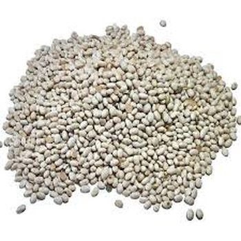 Насіння квасолі Червона Шапочка, Неві Бінс, Ред Кідні, Пінто