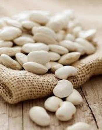 Закуповуємо квасолю по всій Україні з організацією самовивозу.