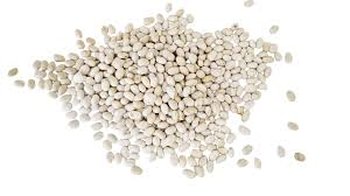 Насіння квасолі з гарантією викупу врожаю