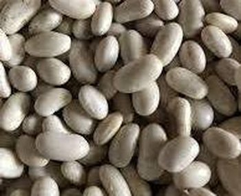 Насіння квасолі Неві Бінс, Червона довга, Пінто, Червона Шапочка.