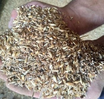 Купуємо зерновідходи та некондиційне зерно. Самовивіз