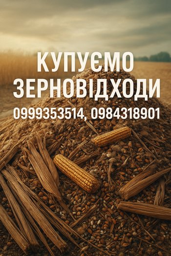 Постійно купуємо зерновідходи, некондицію