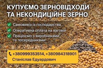 Постійна закупівля зерновідходів та некондиції