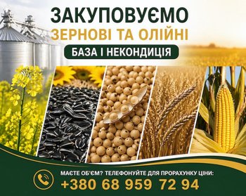 Купуємо зернові та олійні культури будь-якої якості