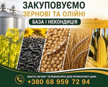 Закуповуємо с.г продукцію. База, некондиція